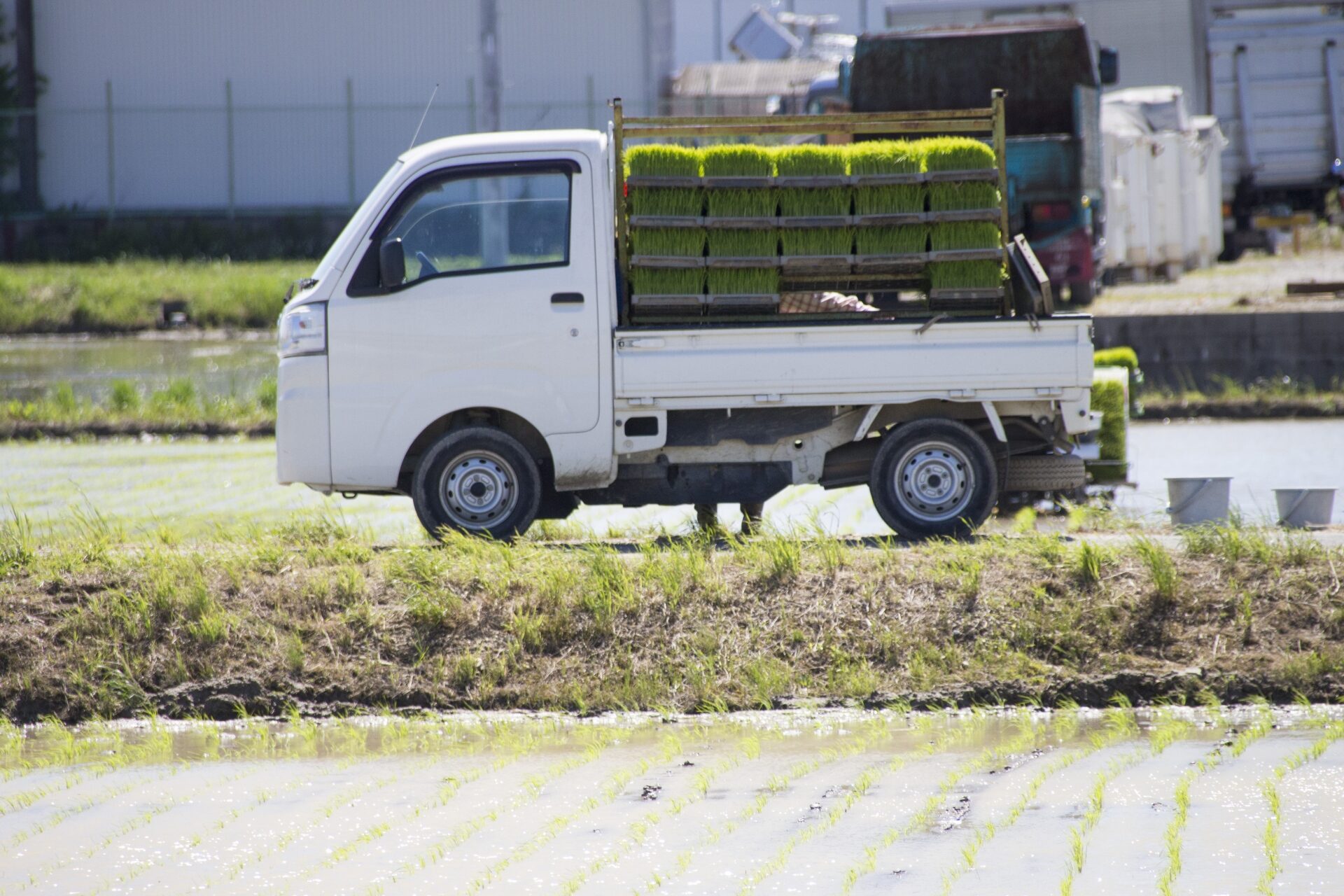 軽トラの維持費は本当に安い？自動車税と他のコストを解説